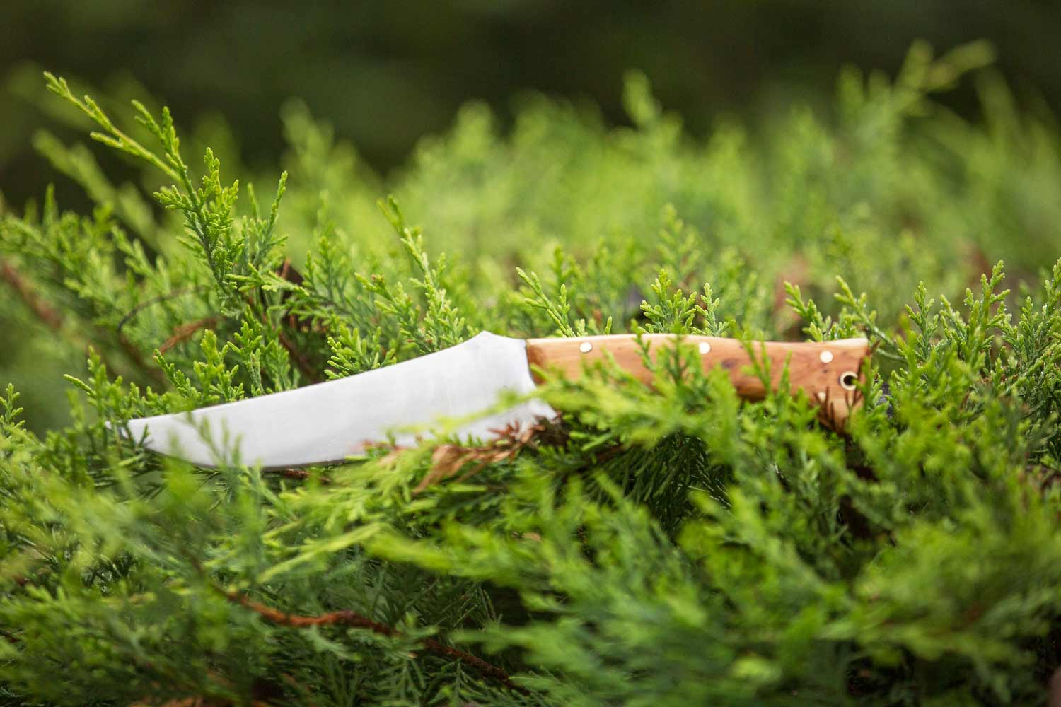 Couteau de bushcraft
