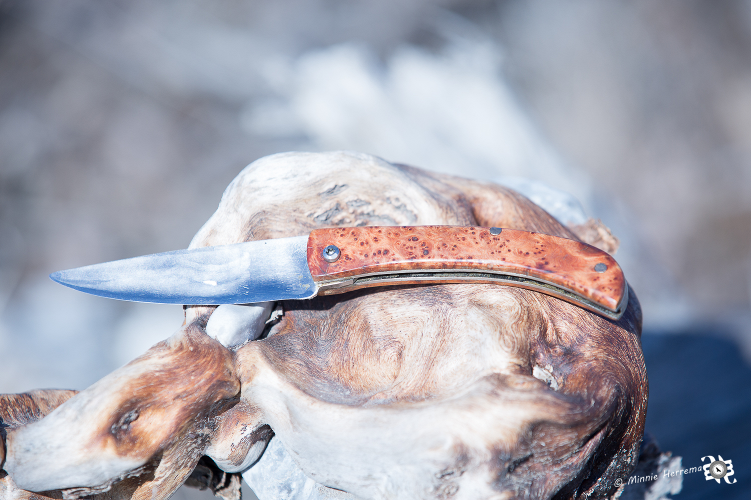 Photo-reportage-dans-la-nature